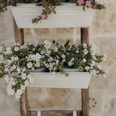 Le Dodici Lune Matera