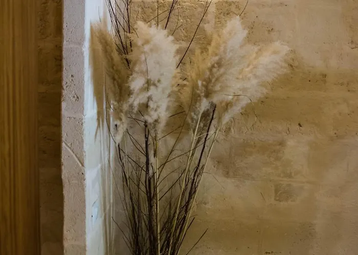 Le Dodici Lune Guest house 4*